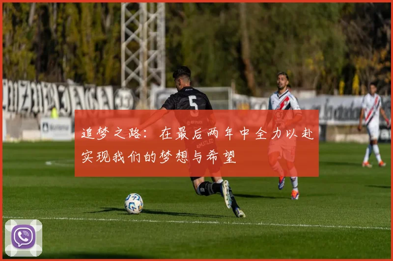 追梦之路：在最后两年中全力以赴实现我们的梦想与希望